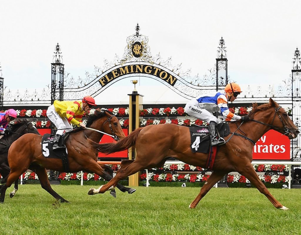Race Transfers Sydney
